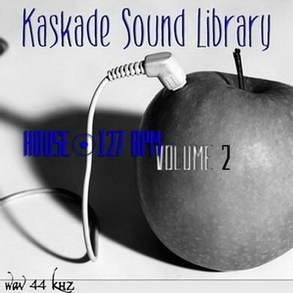 TRAXSOURCE Kaskade Sound Library Vol 2 WAV SCD-AMPLiFYiSO screenshot