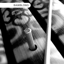Tonehammer Bamblong KONTAKT SCD DVDR-SUNiSO screenshot